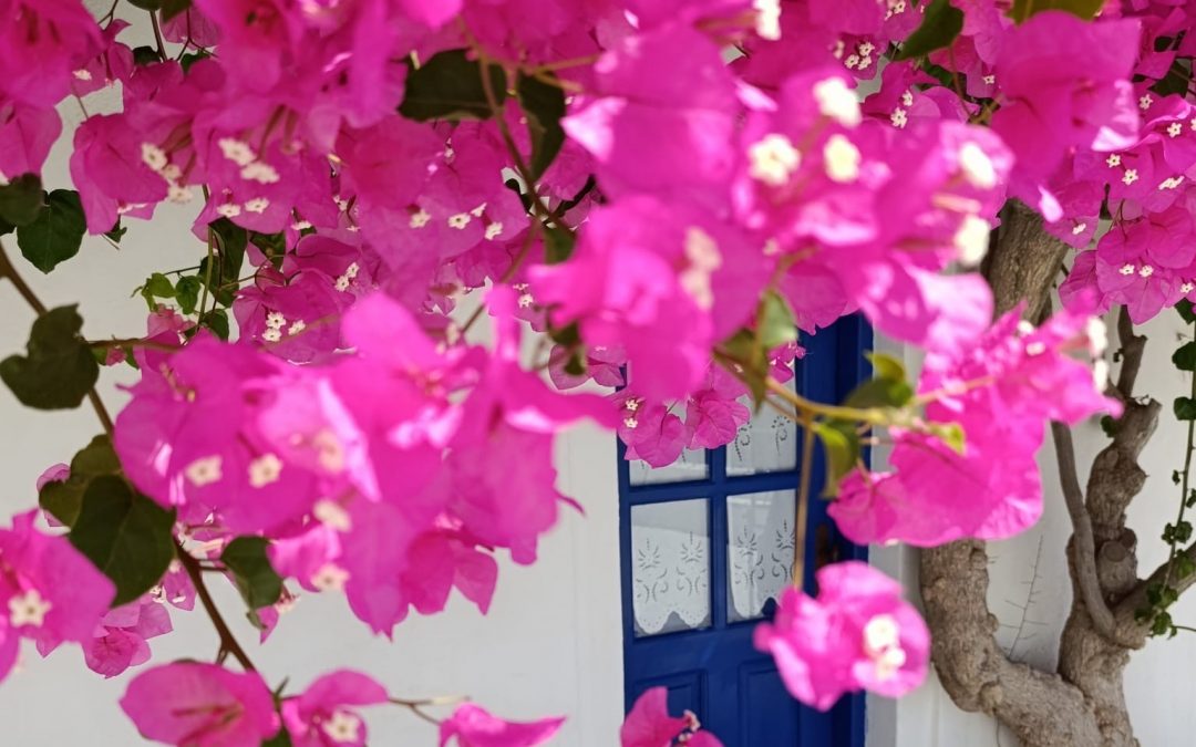 hypnose pour un sommeil paisible